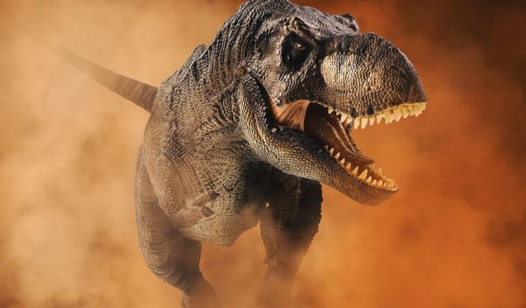 1800’lere Kadar Dinozor Fosilleri Nasıl Keşfedilmedi?