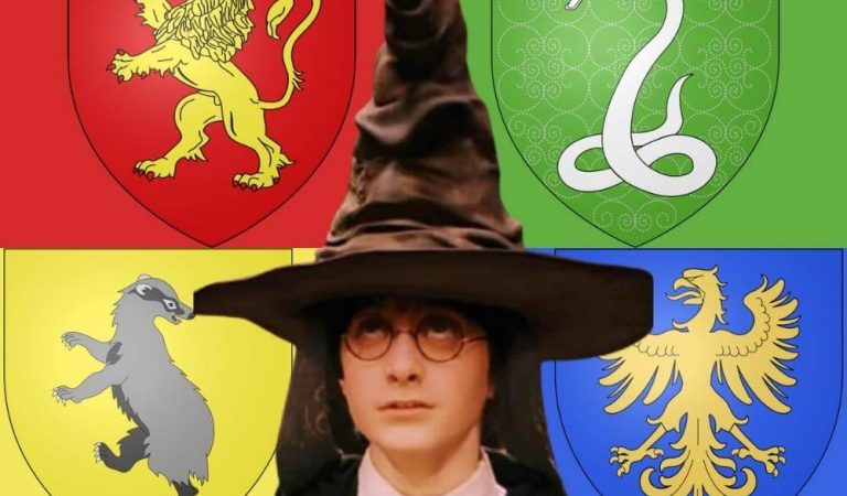 Hangi Hogwarts Binasına Aitsin?