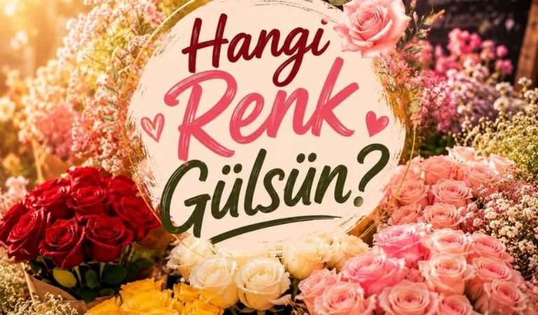 Hangi Renk Gülsün?
