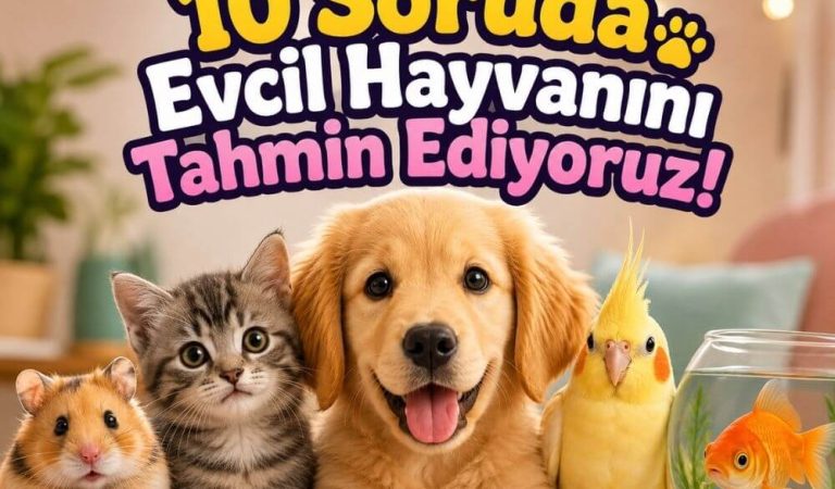 10 Soruda Evcil Hayvanını Tahmin Ediyoruz!