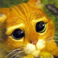 Kikiri kullanıcısının profil fotoğrafı